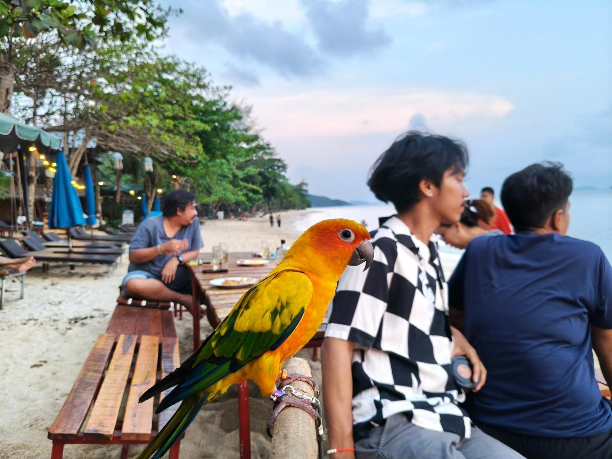 Yuyu Golden Beach Koh Chang Luaran gambar